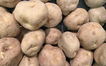 静岡県浜松市産 訳あり 三方原馬鈴薯 5kg 男爵 じゃがいも じゃが芋 ジャガイモ 国産 野菜 浜松市