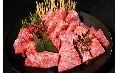 鳥取和牛 焼肉用 特上赤身肉 600g KT020-003