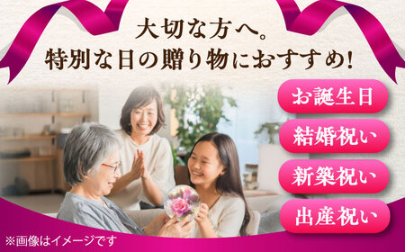 プリザーブドフラワー　ガラスドーム (ピンク) / 花 プレゼント 贈答用 ガラス 母の日 父の日 入学式 卒業式 菊陽町 熊本県【株式会社 美向】[BHDC006]