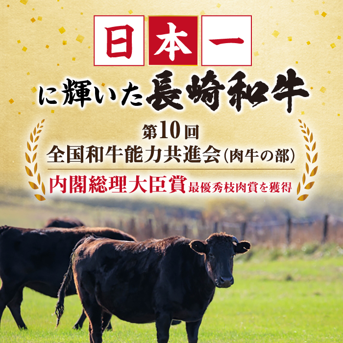 【3回定期便】長崎和牛お楽しみセット 梅コース（焼き肉 用 カルビ・すき焼き 用 モモ・切り落とし）/ 長崎和牛 和牛 牛肉 肉 / 大村市 / かとりストアー[ACAN065]