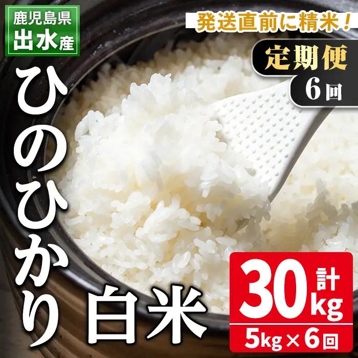  【6回定期便】ひのひかり5kg 精米 白米 連続 定期便【田上商店】i704