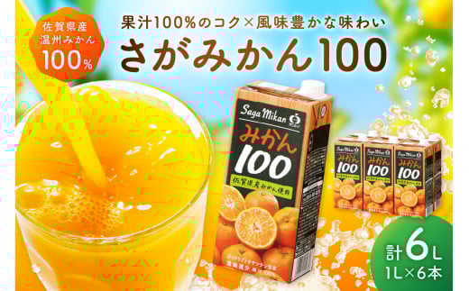 【佐賀県産温州みかん使用】 みかんジュース さがみかん100 1L×6本 果汁100% 173-A057