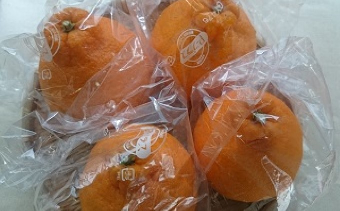 
            低温貯蔵 ハウス 不知火　約3kg
          