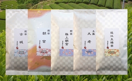 当店おすすめ お茶 5種類飲みくらべ 各100g お茶 お茶 お茶 お茶 お茶