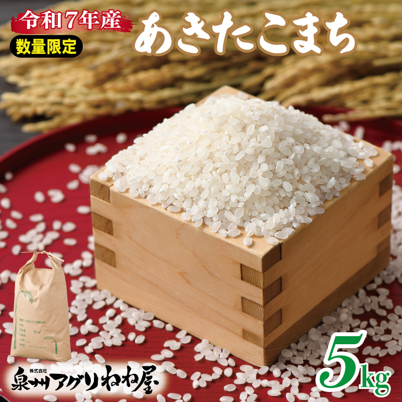 【数量限定】令和7年産 ねね屋のこだわり米 『あきたこまち』 5kg 白米 お米 099H3929