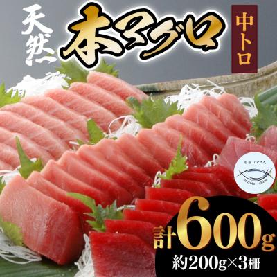 ふるさと納税 室戸市 本マグロ　中トロ　3柵(600g)