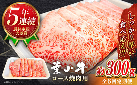 【全6回定期便】【葉山牛】300g　ロース焼肉用 ／ 牛肉 黒毛和牛 神奈川県 特産品【葉山牛ステーキレストラン 角車】[ASBD052]
