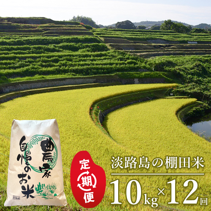【定期便】淡路島の棚田米　10kg×12回（毎月発送）白米