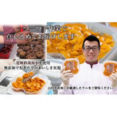 ふるさと納税 伊達市 訳あり 北海道 噴火湾産 塩水 バフンウニ 100g×3パック 計300g |  | 02