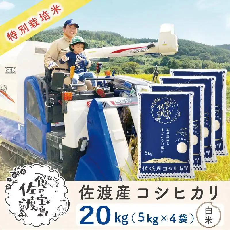 佐渡島産コシヒカリ 白米20kg（5kg×4袋） 特別栽培米 農家直送