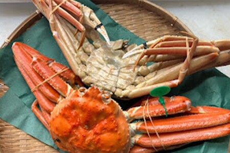 間人漁港仲買人の丸友鮮魚三代目・自慢の間人ガニ訳アリ≪茹で≫[1匹 600～700g×2匹]