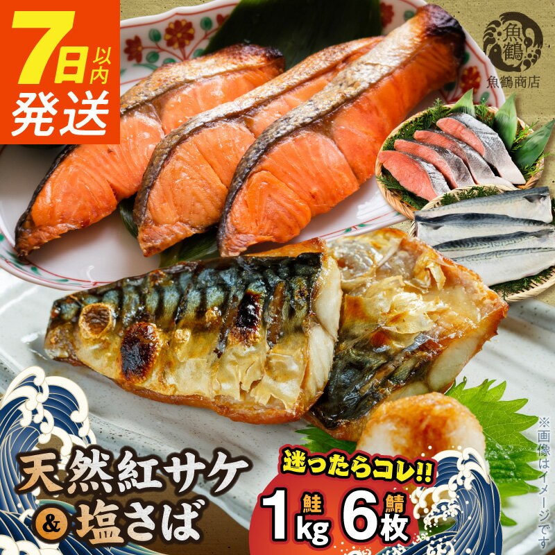 【ふるさと納税】7日以内発送 天然 紅サケ 1kg 塩さば 6枚 セット 選べる 発送時期 切身 フィレ 選りすぐり コク 旨み 鮭 肉厚 鯖 魚 海の幸 海鮮 魚介 食品 食べ物 おかず 料理 お弁当 ホイル焼き 煮魚 塩焼き 水産加工品 お取り寄せ 冷凍 和歌山 湯浅町 送料無料