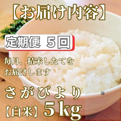 ふるさと納税 みやき町 【毎月定期便】さがびより白米5kg【五つ星お米マイスター厳選!】_SS1048全5回 |  | 02