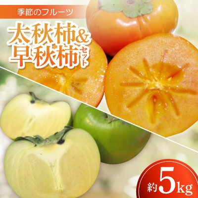 
            季節のフルーツ「太秋柿&早秋柿セット」計約5kg＜令和7年9～10月発送＞【1609821】
          
