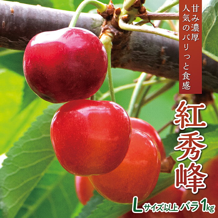 【ふるさと納税】【令和7年産予約】さくらんぼ「紅秀峰」 Lサイズ以上　バラ1kg