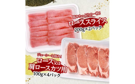 宮崎県産豚肉5種　3kg 【 豚肉 ぶた肉 肉 ロース バラ 切り落とし ミンチ 焼肉用 豚肉セット 】[D11621]