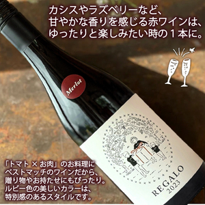 -大船渡で造るワイン- 赤白ワイン（メルロ / ピノ・グリ）2本セット 辛口 750ml お酒 アルコール ぶどう 葡萄 岩手県 大船渡市