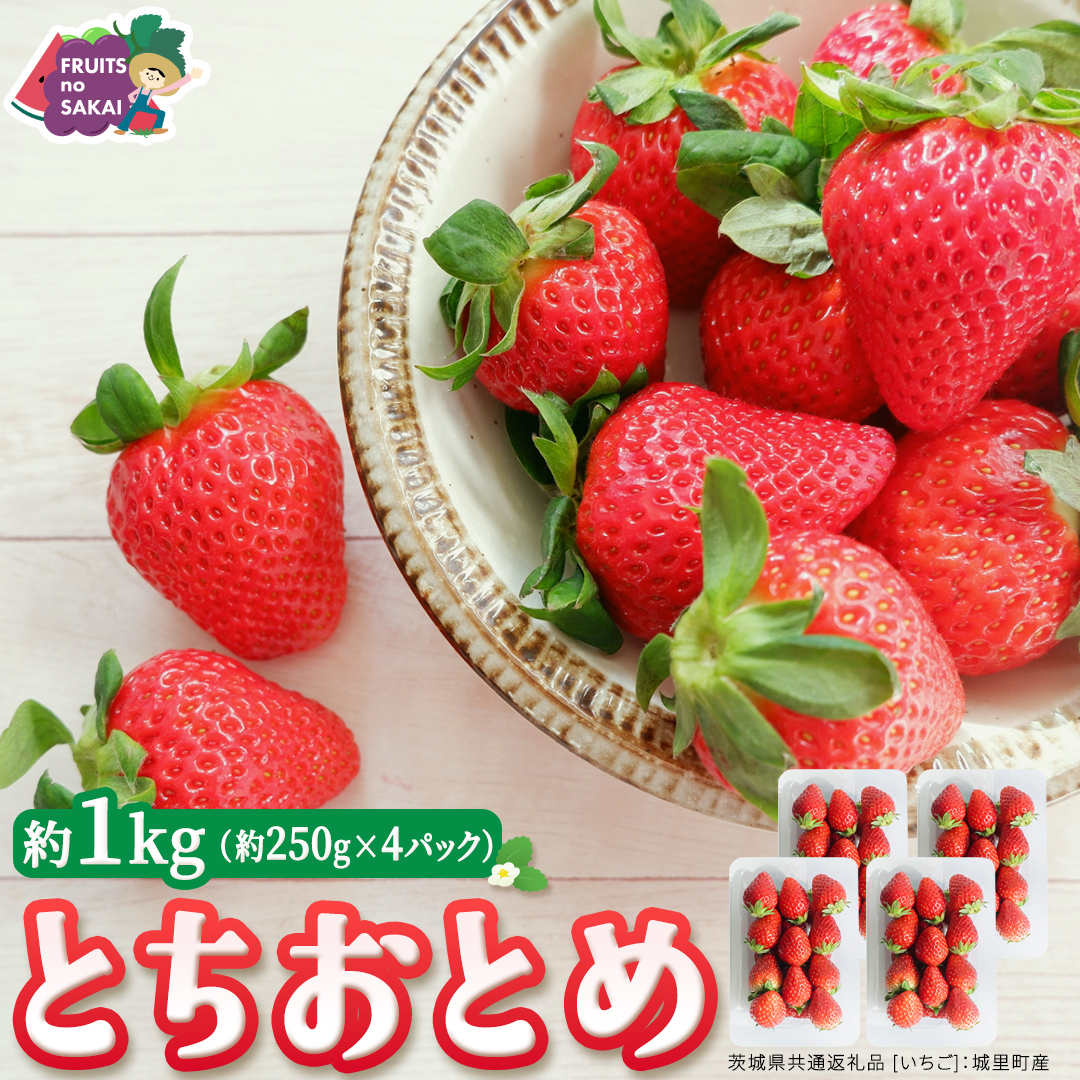 とちおとめ 約250g（15～18粒）×4パック【2026年12月から発送開始】（茨城県共通返礼品 [いちご]：城里町産） 茨城県 県産 人気 厳選 果物 くだもの 旬 旬の果物 旬のフルーツ ギフト 贈答 いちご イチゴ 苺 とちおとめ [FC94-NT]