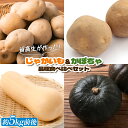 【ふるさと納税】留寿都高校 じゃがいも＆かぼちゃ 食べ比べ セット じゃがいも 約2kg かぼちゃ 約3kg オンライン 申請 ふるさと納税 北海道 留寿都 野菜 季節野菜 新鮮 採れたて いも 芋 イモ ジャガイモ カボチャ 南瓜 高校生 留寿都村【23001】