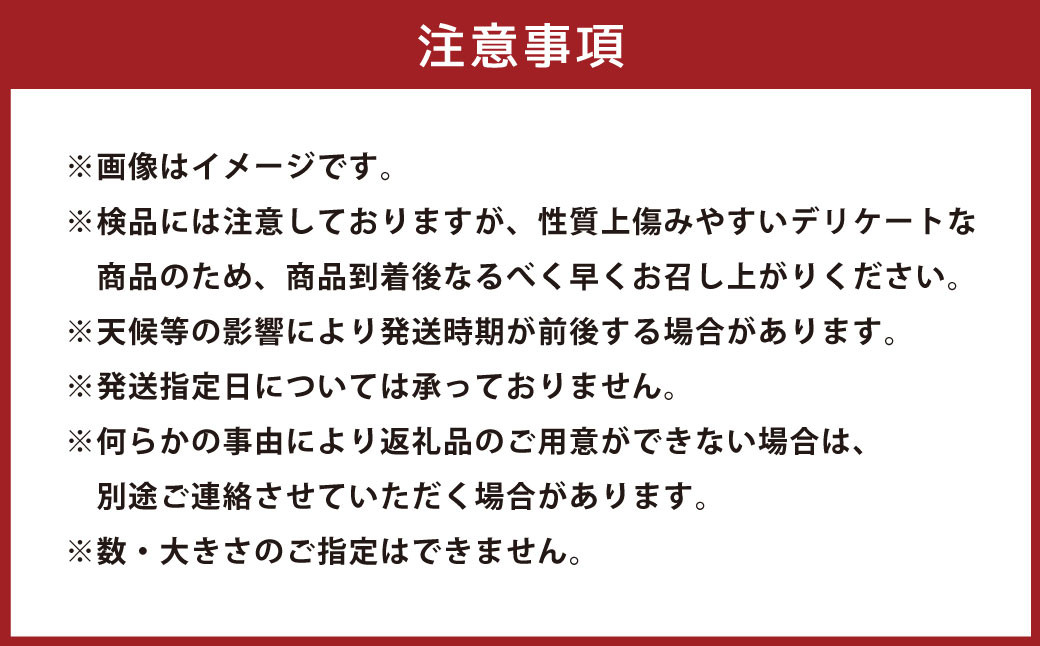 枝豆 湯あがり娘 約1kg（約200g×5袋）【2024年6月下旬～7月下旬発送予定】