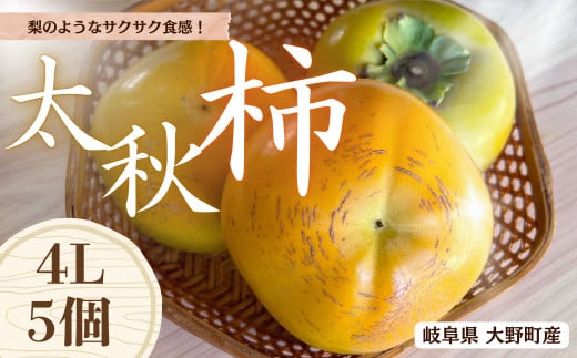 【先行予約】 梨のような食感！ Farm m&aの太秋柿 4L×5個 秀品 岐阜県 大野町（2025年10月中旬～発送）農家直送 果物 フルーツ 秋の味覚 柿 かき 太秋 たいしゅう