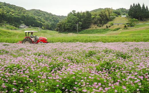 「美味しまね認証米」で、人や自然にやさしい環境保全型農業を進める(農)百姓天国の自信の一品を五分精米でお届けします(^^)/
