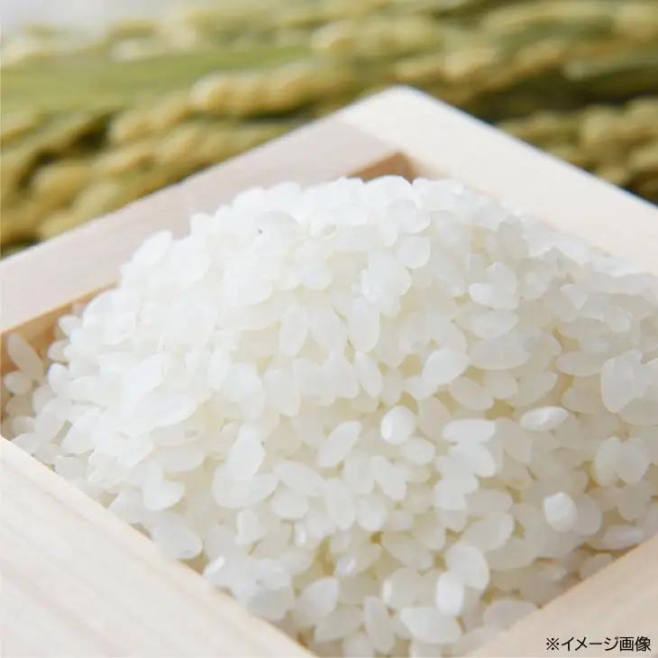 令和８年　淡路島産　新米にこまる 10kg   ◆配送10月中旬以降