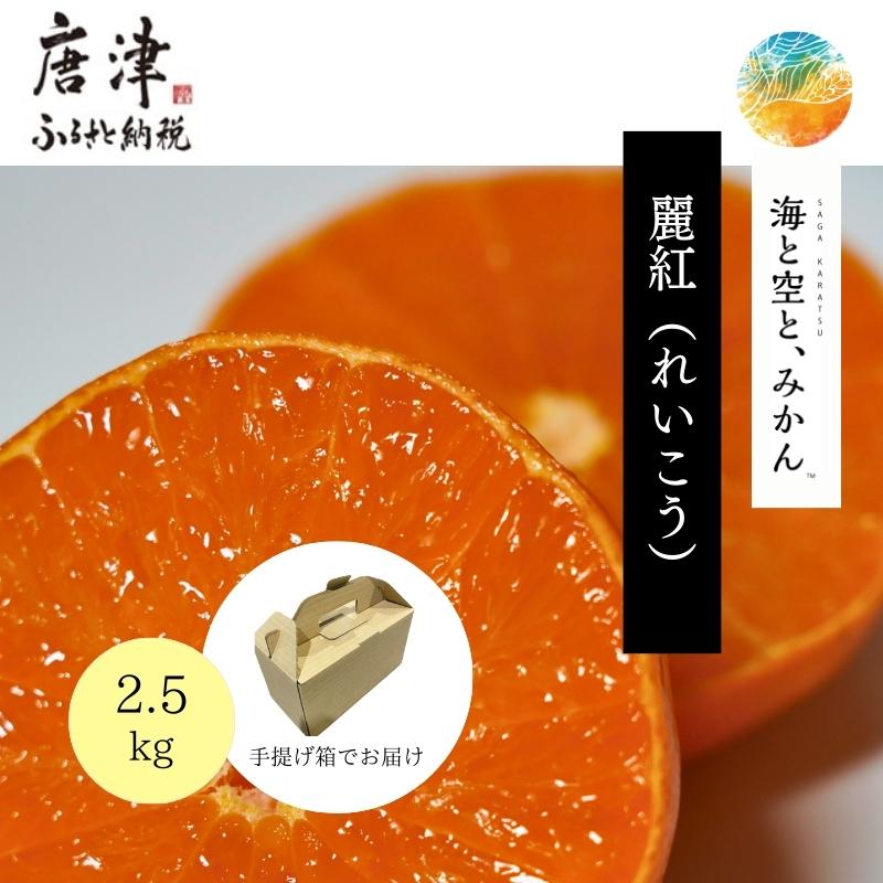 『先行予約』【令和8年1月中旬発送】唐津産ハウス育ち「麗紅」2.5kg 手提げ箱入り ～海と空と、みかん～ ミカン フルーツ 柑橘 ギフト