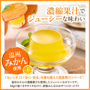 みかんゼリー 1袋4個入×12袋 和歌山産業提供 山形県 東根市 hi070-005 みかん ミカン フルーツ 果物 クダモノ くだもの ゼリー おやつ ご褒美 お弁当のお供 ご当地 グルメ お取り寄