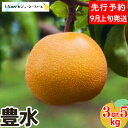 【ふるさと納税】 先行予約 和梨 豊水 約3kg・約5kg [9月上旬から発送予定] 選べる数量 新潟県 三条市産 梨 [しなのがわジューシーファーム]【010S479】
