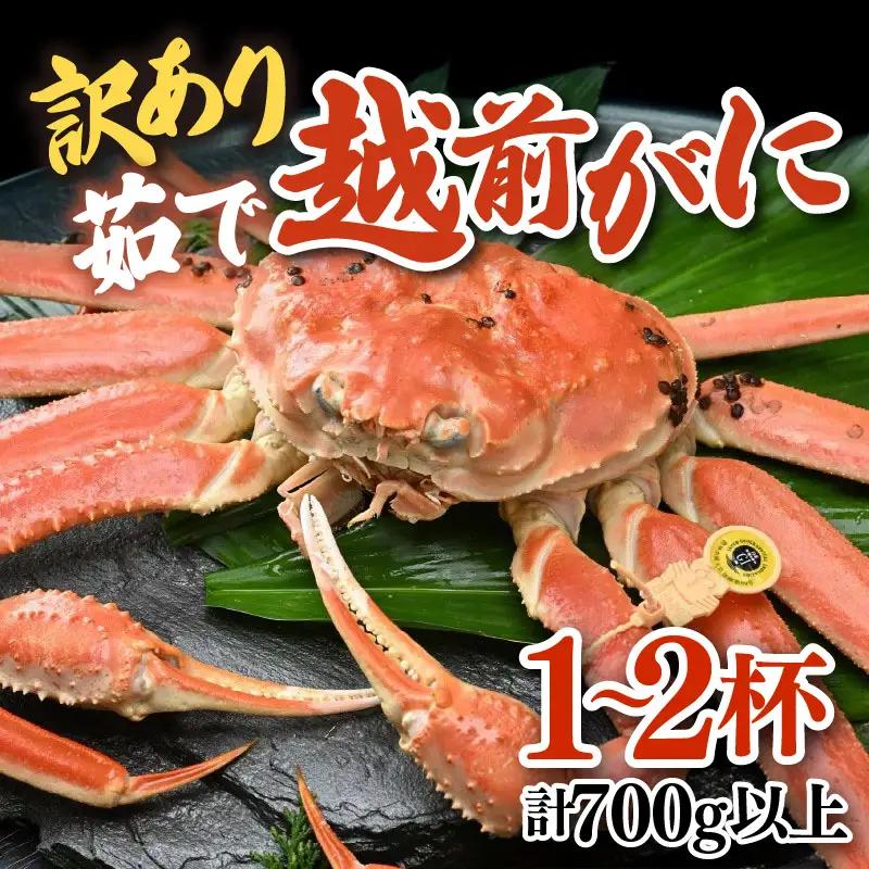 【先行予約】【訳あり】 茹で越前がに 1～2杯 （計700g以上）《新鮮！茹でたてを発送》／ボイル 冷蔵 蟹 カニ ワケあり 足折れ 足取れ 期間限定 冬 旬 蟹 カニ味噌 甲羅 脚 鍋 魚介類 海鮮