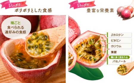 【数量限定】 甑島のパッションフルーツ 青果2.5kg ご自宅用 BS-639