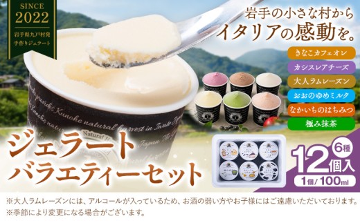 ジェラート 6種 12個 バラエティーセット GELATERIA NAKAICHI 岩手県 九戸村 アイス カフェオレ レアチーズ ラムレーズン ミルク はちみつ 極み抹茶 詰め合わせ 詰合せ スイーツ 洋菓子 アイスクリーム 高級 高級アイス デザート ギフト 贈り物 プレゼント 誕生日 お取り寄せ おうち時間 ご褒美 キャンプ グルメ 送料無料《30日以内に出荷予定(土日祝除く)》