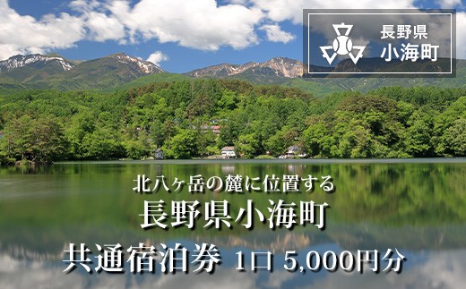 小海町共通宿泊券 1口5,000円分/トラベル クーポン チケット ギフト 旅行  観光 ホテル 宿泊券 長野県小海町