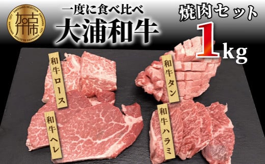 ★選べる配送月★【1月発送】大浦和牛焼肉セット(1kg)《 牛肉 牛 国産 焼肉 セット おすすめ ロース 美味しい 牛タン ハラミ ヒレ 食べ比べ バーベキュー 》【2405A00206-01】