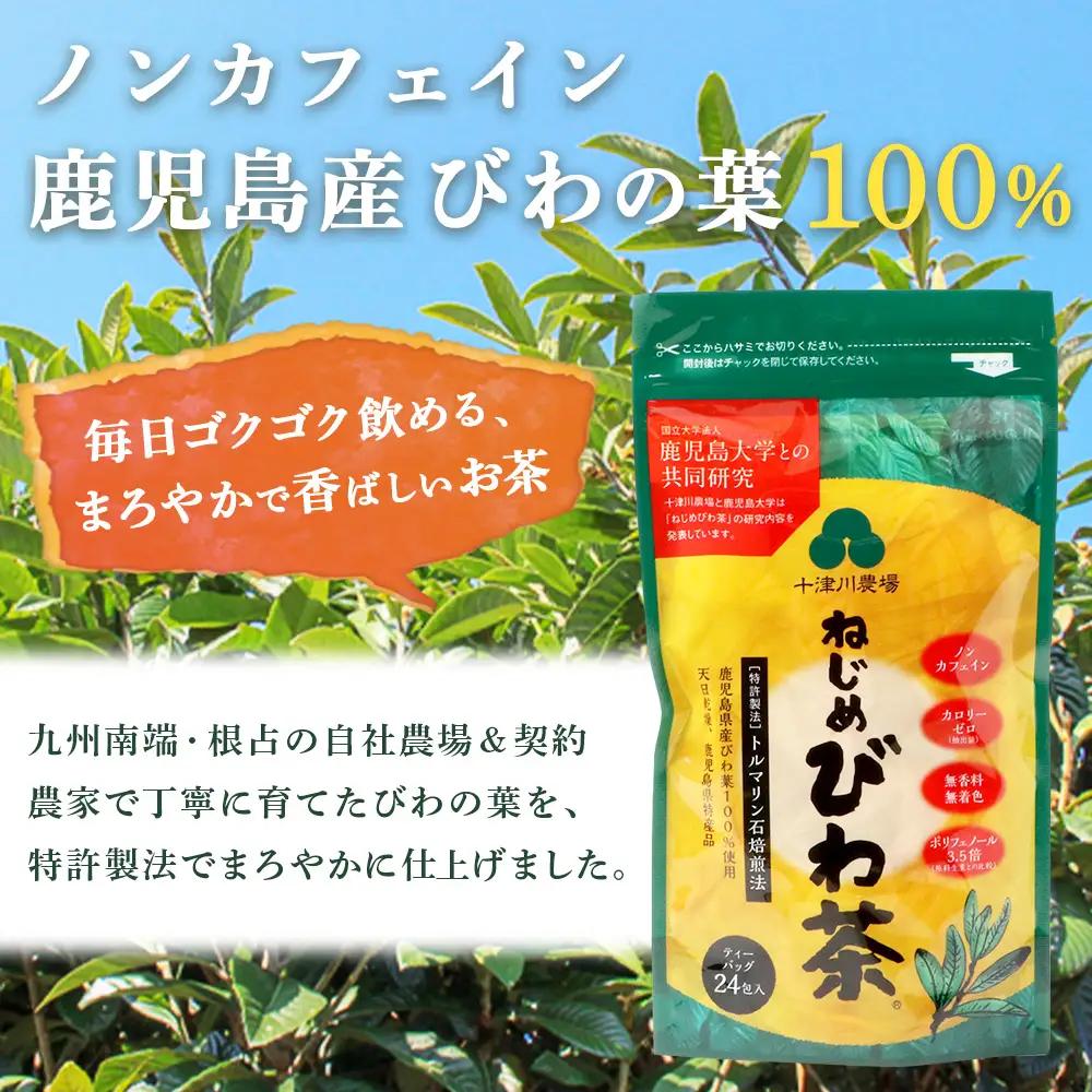 【定期便 全3回】≪3ヶ月連続で毎月お届け≫ 鹿児島県産 ねじめびわ茶 ティーバック ≪1回あたり(24包入×1袋) ≫ ノンカフェイン TO-1-NP| 国産 お茶 健康茶 びわ茶 ポリフェノール 