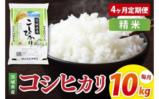 【4ヶ月定期便】茨城県産コシヒカリ　精米　10kg｜精米 定期便 お米 米 こめ コメ ごはん 白米 阿見町 茨城県 茨城県産 茨城県産米 安心 安全 送料無料 国産 人気 数量限定 高評価（85-151）