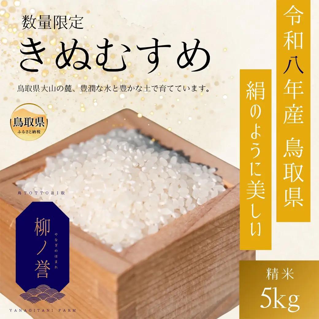 【令和8年度産】鳥取県産きぬむすめ白米5kg【数量限定】_T2600442