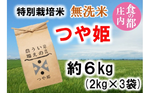 食の都庄内　【令和7年産・無洗米（精米）】特別栽培米つや姫6kg《井上農場》