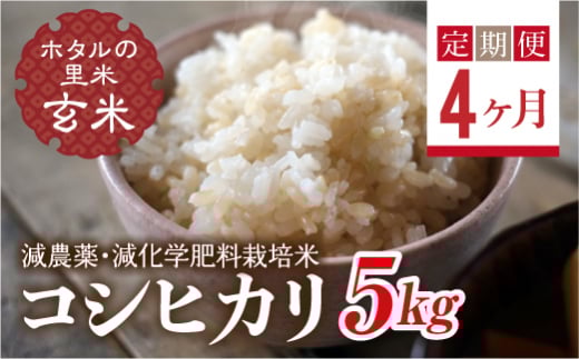  ＜定期便4ヶ月＞【ホタルの里米】環境に配慮し農薬を減らした栽培米 コシヒカリ玄米5kg F4D-1445