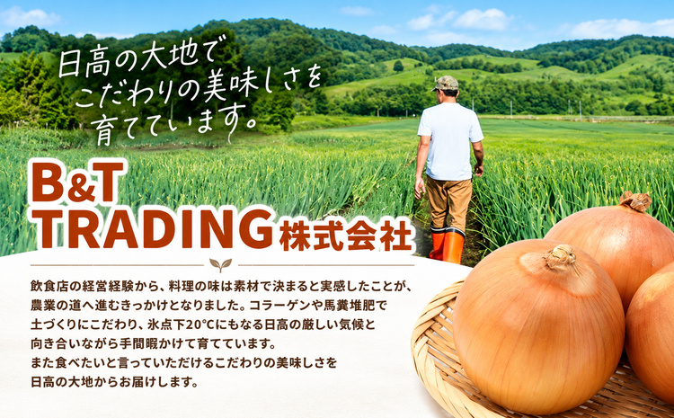 野菜 紫玉ねぎ 20kg B&T TRADING株式会社《30日以内に出荷予定(土日祝除く)》北海道 日高町 玉ねぎ 紫玉ねぎ 赤玉ねぎ 北海道産 国産 野菜 大容量 家庭用 常備野菜 サラダ カレー