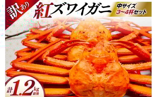 【期間限定発送】 【漁師厳選】 訳あり 紅ズワイガニ ボイル済 中サイズ3～4杯 計1.2kg前後 [聖徳丸 富山県 朝日町 34310512] 海鮮 魚介類 カニ ベニズワイガニ 紅ズワイ ベニズワイ 紅ズワイ蟹 ボイル 冷蔵 ご褒美