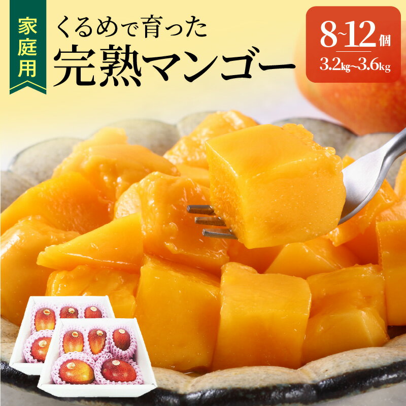 【ふるさと納税】【2026年6月以降お届け】家庭用 トロ～ッと口のなかでとろける くるめで育った 完熟マンゴー 8個 〜 12個 甘い 子供も安心 フルーツ トロピカルフルーツ 果物 マンゴー 完熟 国産 ビタミンA 冷蔵 アップルマンゴー お取り寄せ 福岡県 久留米市 送料無料