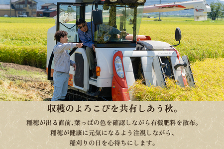 【令和8年産新米先行予約】【定期便9ヶ月毎月お届け】新潟県産 新之助 精米10kg（5kg×2袋）《10月上旬から順次出荷》