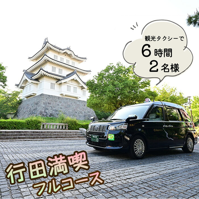 【ふるさと納税】No.492 観光タクシーで行く！6時間行田満喫フルコース（2名様） ／ 行田観光 旅 旅行 トラベル 専用ガイド 観光ガイド ご当地 グルメ ショッピング 特別ツアー 安全 効率がいい スムーズ リラックス 入場料込み 送料無料 埼玉県