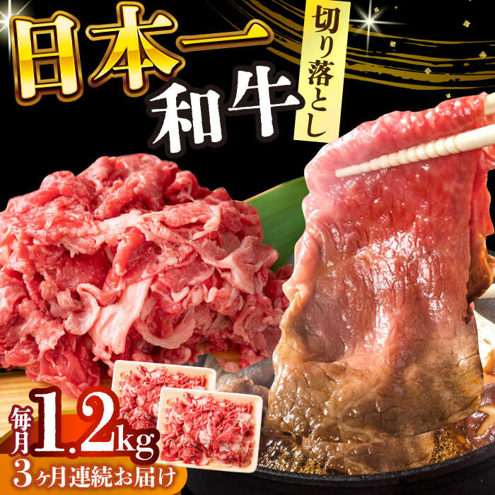 【ふるさと納税】【全3回定期便】【A4〜A5】長崎和牛切り落とし 1.2kg(600g×2p）【株式会社 MEAT PLUS】[DBS058] 和牛 切り落とし きり落とし きりおとし 牛肉切り落とし 牛肉 国産 国産和牛 贅沢 贈答 ギフト