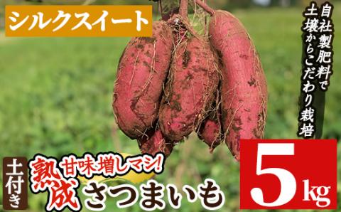 a845-A 鹿児島県産さつまいもシルクスイート土付き5kg(生芋)【コウエイ環境】