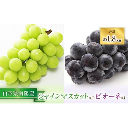 【令和7年産先行予約】 シャインマスカット 2房 ＋ ピオーネ 1房 《令和7年9月中旬～発送》 『漆山果樹園』 マスカット 葡萄 ぶどう ブドウ フルーツ デザート 山形県 南陽市 [812]