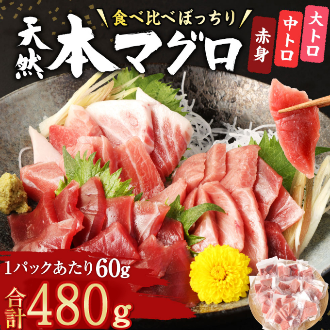 お刺身ちょこっとパック　赤身・中トロ・大トロ食べ比べぼっちり８パック