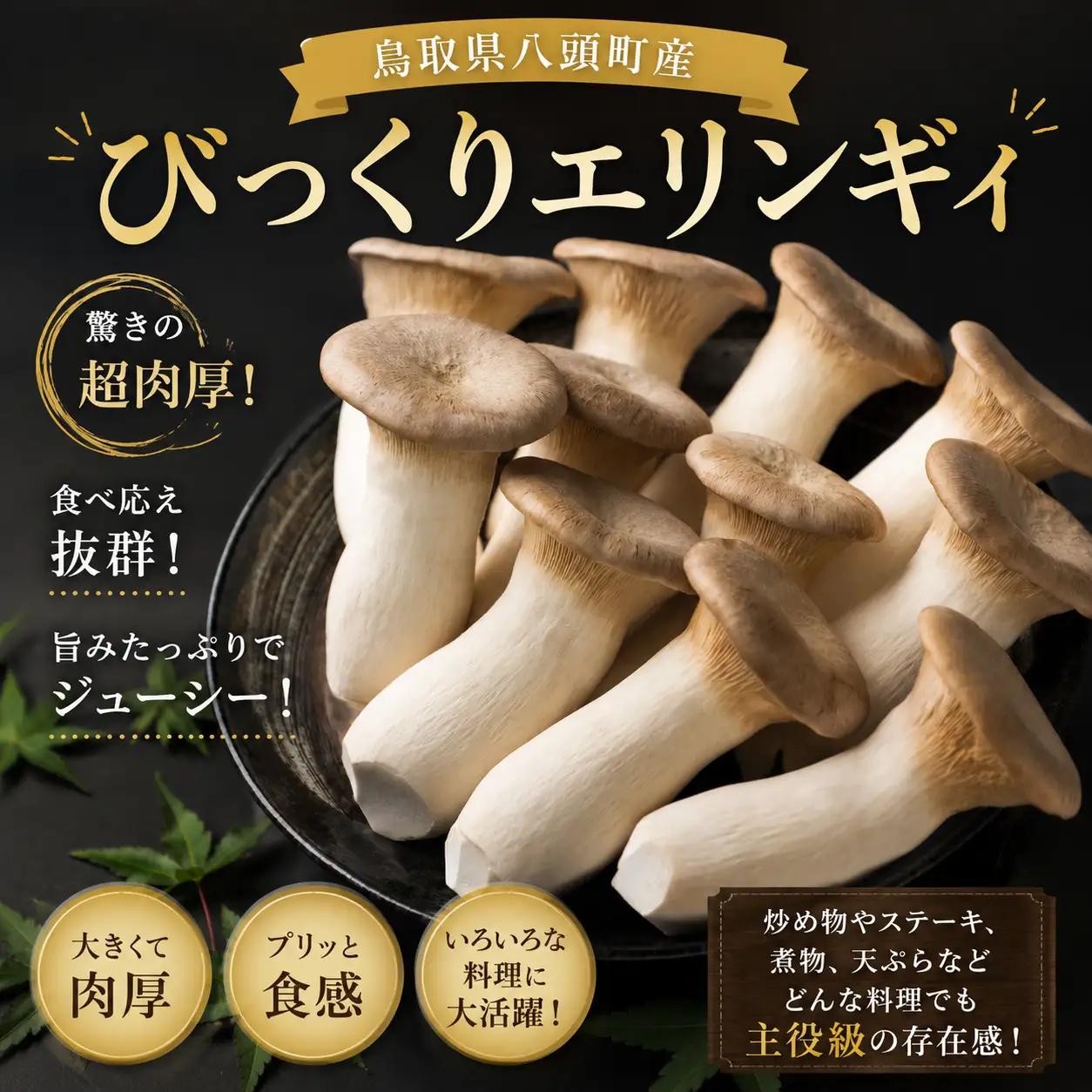 Y197 八頭町産きのこのバラエティーセット